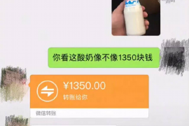 讨债就像是讨饭：揭秘债务回收的艰辛之路